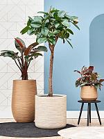 Кашпо Baq dune partner brown beige D48 H75 см Кашпо Baq dune partner brown beige D48 H75 см