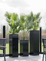 Кашпо Baq line-up square matt black (с техническим горшком) L30 W30 H75 см