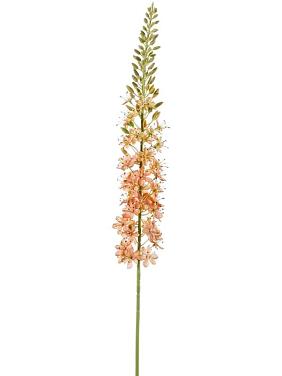 Эремурус персиковый искусственный Эремурус персиковый искусственный