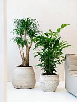 Кашпо Mediterranean hestia l chalk white D52 H46 см