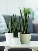 Кашпо Brussels round sorbet green D18 H17 см