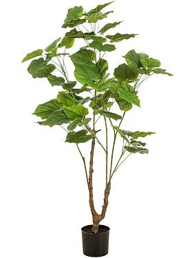 Фикус Умбеллата искусственный