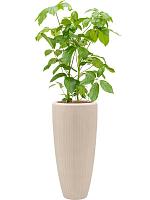 Кашпо Baq polystone plain partner natural (с техническим горшком) D30 H70 см