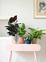 Кашпо Vibes fold round delicate pink D22 H20 см