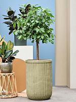 Кашпо Baq vertical rib cylinder green D45 H65 см