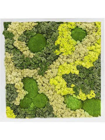 Картина из мха mdf ral 9010 satin gloss 30% ball moss 70% reindeer moss (mix) Картина из мха mdf ral 9010 satin gloss 30% ball moss 70% reindeer moss (mix)