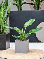 Кашпо Natural fleur m grey L20 W20 H20 см