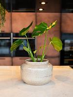 Кашпо Rocky pot latte D42 H36 см