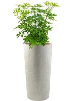 Кашпо Grigio vase tall antique white D36 H68 см