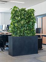 Кашпо Baq basic rectangle dark grey (mit einsatz) L110 W40 H70 см