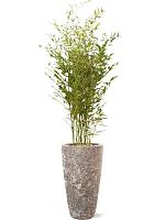 Кашпо Baq lava partner straight relic rust metal D35 H65 см