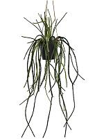 Ликоподиум ампельный в подвесном горшке искусственный H85 см