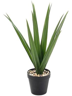 Драцена искусственная Драцена искусственная