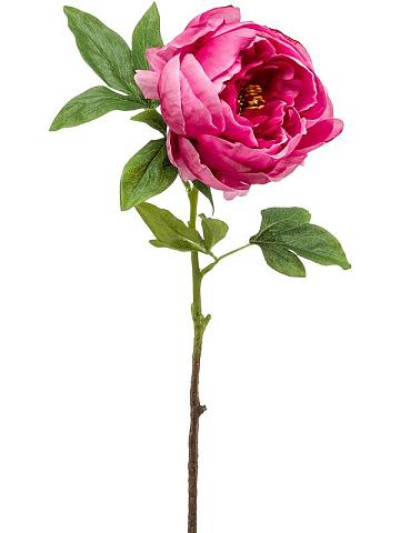 Пион искусственный Пион искусственный