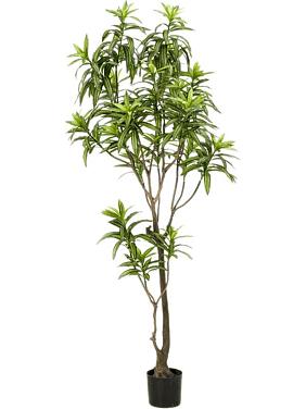 Драцена Вертакт искусственная Драцена Вертакт искусственная