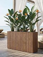 Кашпо Baq radia rectangle natural (с техническим горшком) L141 W38 H75 см
