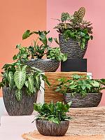 Кашпо Baq luxe lite universe waterfall oval bronze L50 W22 H40 см Кашпо Baq luxe lite universe waterfall oval bronze L50 W22 H40 см