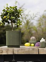 Кашпо Capi nature groove special vase cylinder green D19 H21 см Кашпо Capi nature groove special vase cylinder green D19 H21 см