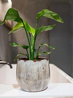 Кашпо Suus pot latte D15 H13 см