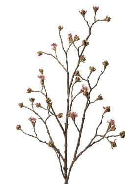 Ветка Клёна с бордовыми почками искусственная Ветка Клёна с бордовыми почками искусственная