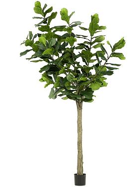 Фикус Лирата искусственны