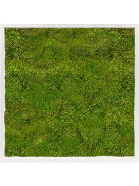 Картина из мха mdf ral 9010 satin gloss 100% flat moss Картина из мха mdf ral 9010 satin gloss 100% flat moss