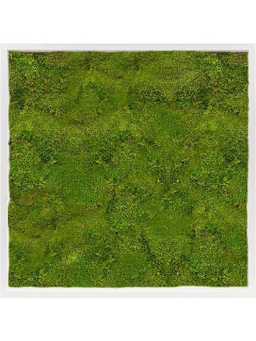 Картина из мха mdf ral 9010 satin gloss 100% flat moss