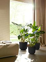 Кашпо Jazz round living black D30 H28 см