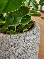 Кашпо Baq naturescast partner grey (с техническим горшком) D30 H70 см