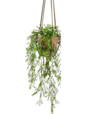 Папоротник Аспарагус Шпренгера ампельный в подвесном горшке искусственный