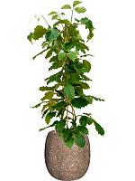 Кашпо Baq polystone coated plain balloon rock (с техническим горшком) D42 H42 см