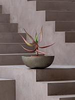 Кашпо Grigio bowl antique white D40 H18 см