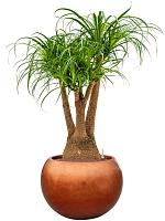 Кашпо Baq metallic silver leaf globe matt copper (с техническим горшком) D50 H37 см Кашпо Baq metallic silver leaf globe matt copper (с техническим горшком) D50 H37 см