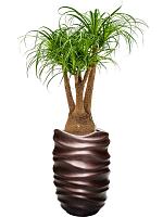 Кашпо Baq gradient lee partner matt coffee (с техническим горшком) D40 H61 см Кашпо Baq gradient lee partner matt coffee (с техническим горшком) D40 H61 см