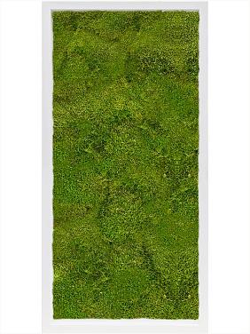 Картина из мха mdf ral 9010 satin gloss 100% flat moss Картина из мха mdf ral 9010 satin gloss 100% flat moss