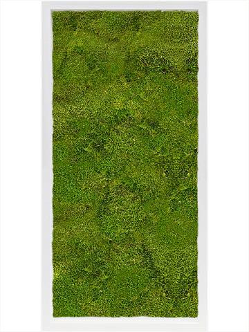 Картина из мха mdf ral 9010 satin gloss 100% flat moss Картина из мха mdf ral 9010 satin gloss 100% flat moss