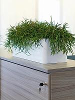 Кашпо Multivorm / basic rectangle structure L70 W25 H14 см