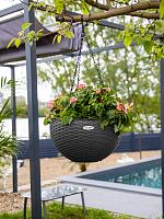 Кашпо подвесное Ola Dom Bowl Rattan 34 (5л) антрацитовый D34 H21 см