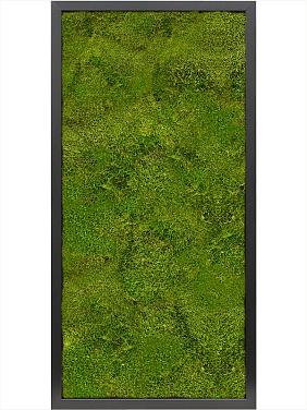 Картина из мха mdf ral 9005 satin gloss 100% flat moss Картина из мха mdf ral 9005 satin gloss 100% flat moss