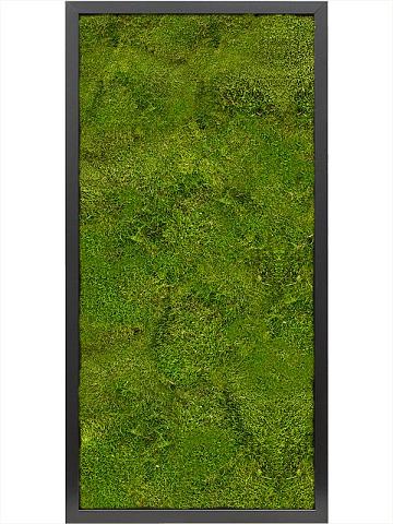 Картина из мха mdf ral 9005 satin gloss 100% flat moss Картина из мха mdf ral 9005 satin gloss 100% flat moss