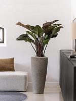 Кашпо Cement & stone dax l dioriet grey D37 H80 см