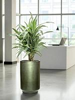 Кашпо Baq gradient cylinder matt forest green (met inzetbak) D40 H60 см