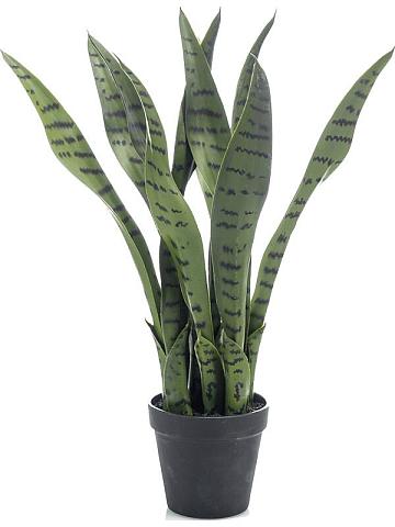 Сансевиерия зеленая в горшке искусственная Сансевиерия зеленая в горшке искусственная