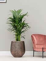 Кашпо Baq opus hit darcy gold (с техническим горшком) D45 H48 см