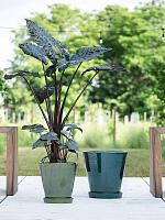 Кашпо Vibe pot green D50 H50 см Кашпо Vibe pot green D50 H50 см
