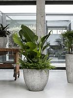 Кашпо Oyster jesslyn xl imperial white D80 H70 см