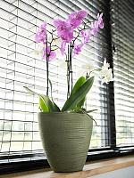 Кашпо Lydia planter shiny green L33 W16 H25 см