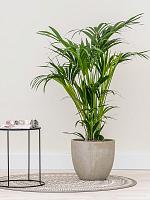 Кашпо Baq raindrop couple beige D54 H51 см