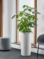 Кашпо Baq ecoline phoenix regular partner straight D33 H66 см