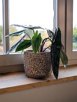 Кашпо Maxim pot shiny sand D11 H9 см